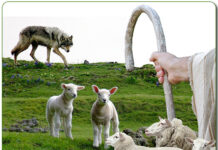 Ân huệ và thập giá trong đời sống cộng đoàn