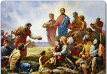 Các bài suy niệm Chúa Nhật 17 Thường Niên Năm B