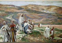 Các bài suy niệm Chúa Nhật 15 Thường Niên Năm B