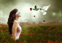 3 bát không bưng, 3 tiền không kiếm, 3 khoản không nợ