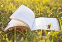 Học bổng miễn phí