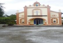 Niềm Vui Tông Đồ