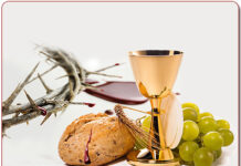 Các bài suy niệm Chúa Nhật 19 Thường Niên Năm B