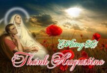 Người trẻ Công Giáo Việt Nam học được gì từ thánh Augustinô?