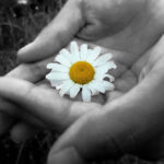 Hạnh phúc của cho và nhận