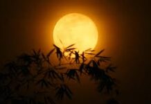 Tản mạn dưới trăng thu