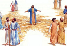 Lời nguyện tín hữu – Chúa Nhật 30 Thường niên