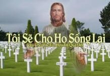 Lời nguyện tín hữu – Lễ Cầu Cho Các Tín Hữu Đã Qua Đời (02/11)