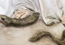 Tại sao ma quỷ ghét Đức Mẹ?