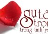 Cách Ứng Xử trong Cuộc Sống: Thẳng Nhưng Phải Khéo