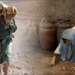 Xin chung vui với tôi (Thứ Năm Tuần 31 Thường niên)