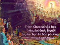 Lời nguyện tín hữu – Chúa Nhật 33 Thường niên_B