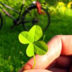 Hãy làm những gì con tim bạn chỉ dẫn