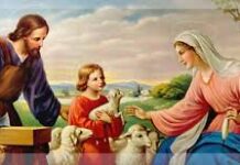 Suy niệm chung Tháng 8/2025 – Người nữ tu MTG sống tinh thần Nadaret