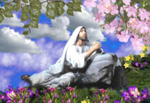 Suy niệm chung tháng 12/2024 – Sống đặc sủng Dòng MTG là sống tâm tình tỉnh thức và chờ đợi