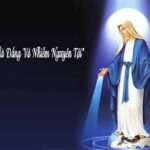 Vui học Thánh kinh – Lễ Đức Maria Vô Nhiễm Nguyên Tội