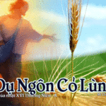 Chúa Nhật 16 Thường Niên Năm A