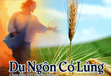 Chúa Nhật 16 Thường Niên Năm A