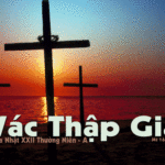 Chúa Nhật 22 Thường Niên Năm A