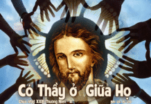 Chúa Nhật 23 Thường Niên Năm A
