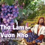 Chúa Nhật 25 Thường Niên Năm A