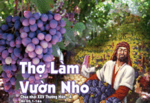 Chúa Nhật 25 Thường Niên Năm A