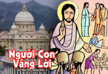 Chúa Nhật 26 Thường Niên Năm A