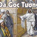 Chúa Nhật 27 Thường Niên Năm A