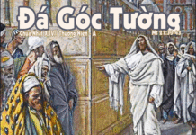 Chúa Nhật 27 Thường Niên Năm A