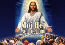 Chúa Nhật 28 Thường Niên Năm A