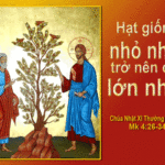 CÁC BÀI SUY NIỆM CHÚA NHẬT 11 THƯỜNG NIÊN NĂM B