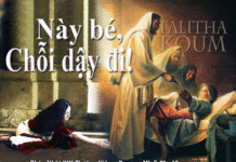 CÁC BÀI SUY NIỆM CHÚA NHẬT 13 THƯỜNG NIÊN NĂM B