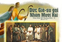 CÁC BÀI SUY NIỆM CHÚA NHẬT 15 THƯỜNG NIÊN NĂM B