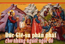 CÁC BÀI SUY NIỆM CHÚA NHẬT 17 THƯỜNG NIÊN NĂM B