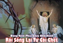 CÁC BÀI SUY NIỆM CHÚA NHẬT 3 PHỤC SINH NĂM B