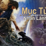 CÁC BÀI SUY NIỆM CHÚA NHẬT 4 PHỤC SINH NĂM B