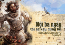 CÁC BÀI SUY NIỆM CHÚA NHẬT 3 MÙA CHAY NĂM B