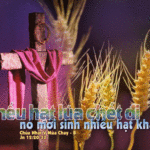 CÁC BÀI SUY NIỆM CHÚA NHẬT 5 MÙA CHAY NĂM B