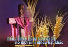 CÁC BÀI SUY NIỆM CHÚA NHẬT 5 MÙA CHAY NĂM B