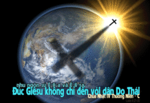CÁC BÀI SUY NIỆM CHÚA NHẬT 4 THƯỜNG NIÊN. NĂM C_2016