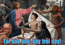 CÁC BÀI SUY NIỆM CHÚA NHẬT 10 THƯỜNG NIÊN. NĂM C_2016