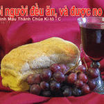 CHÚA NHẬT LỄ MÌNH MÁU THÁNH CHÚA. NĂM C_2016