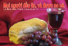 CHÚA NHẬT LỄ MÌNH MÁU THÁNH CHÚA. NĂM C_2016