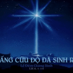 Các bài suy niệm Lễ Chúa Giáng Sinh (Lễ Đêm)