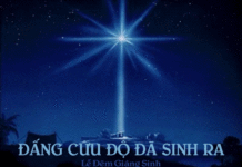 Các bài suy niệm Lễ Chúa Giáng Sinh (Lễ Đêm)