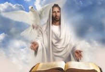 Các bài suy niệm Chúa Nhật 3 Thường Niên Năm C