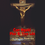 Lễ Suy Tôn Thánh Giá