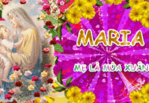 Mừng Lễ Mẹ Thiên Chúa, Tất Niên và Mừng Xuân Kỷ Hợi 2019