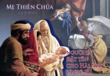 CÁC BÀI SUY NIỆM LỄ ĐỨC MARIA, MẸ THIÊN CHÚA_2015