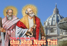 Các bài suy niệm Lễ Thánh Thánh PHÊRÔ VÀ PHAOLÔ Tông đồ (29/6)